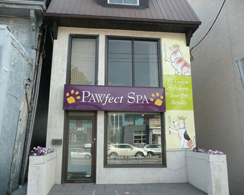 Pawfect-spa-salon