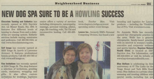 Pawfect History 2006