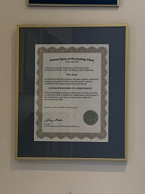 Certifications Two