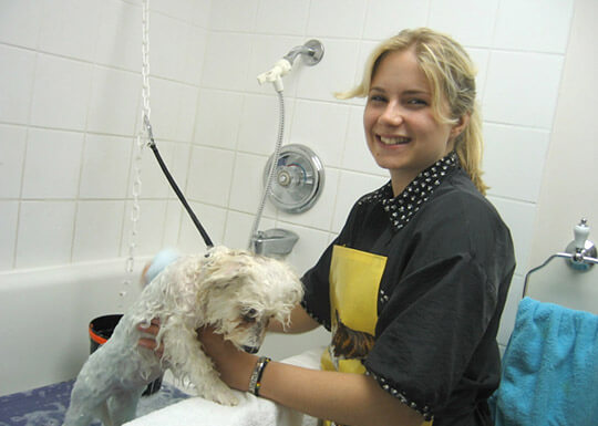 Deluxe Dog bath Package
