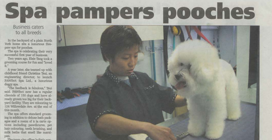 Pawfect History 2005