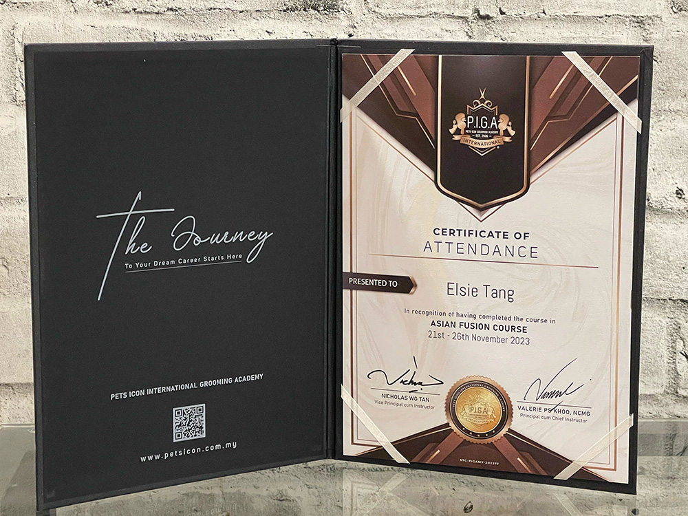 Certificate of Attendance